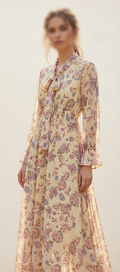 Gorgeous Printed Long Frock